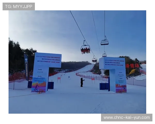 高山滑雪赛事赛道标识标准化项目启动，2020高山滑雪标志